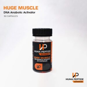 HUGE MUSCLE (50Capsules) | HUMA PEPTIDE